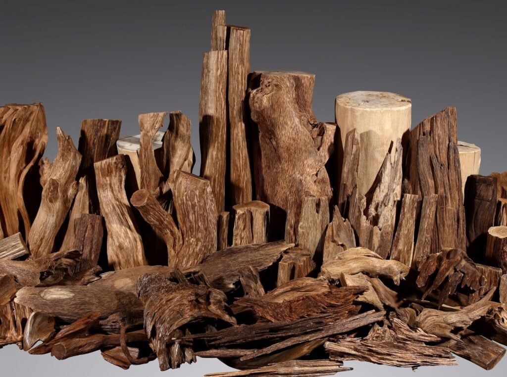 agarwood-group